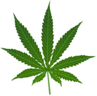 Test antidroga Cannabis (THC)